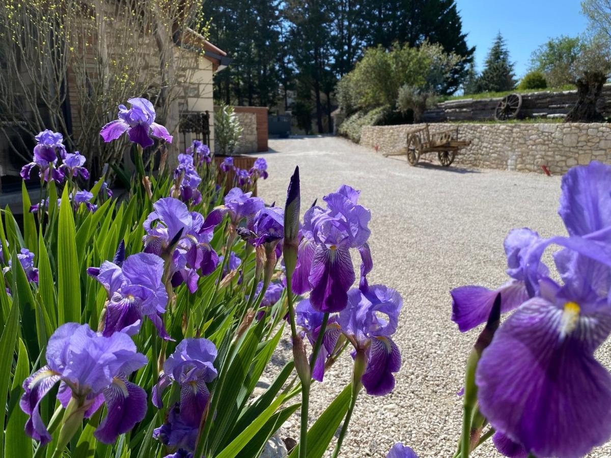 Le Relais De Campagne Bed & Breakfast Trejouls Dış mekan fotoğraf